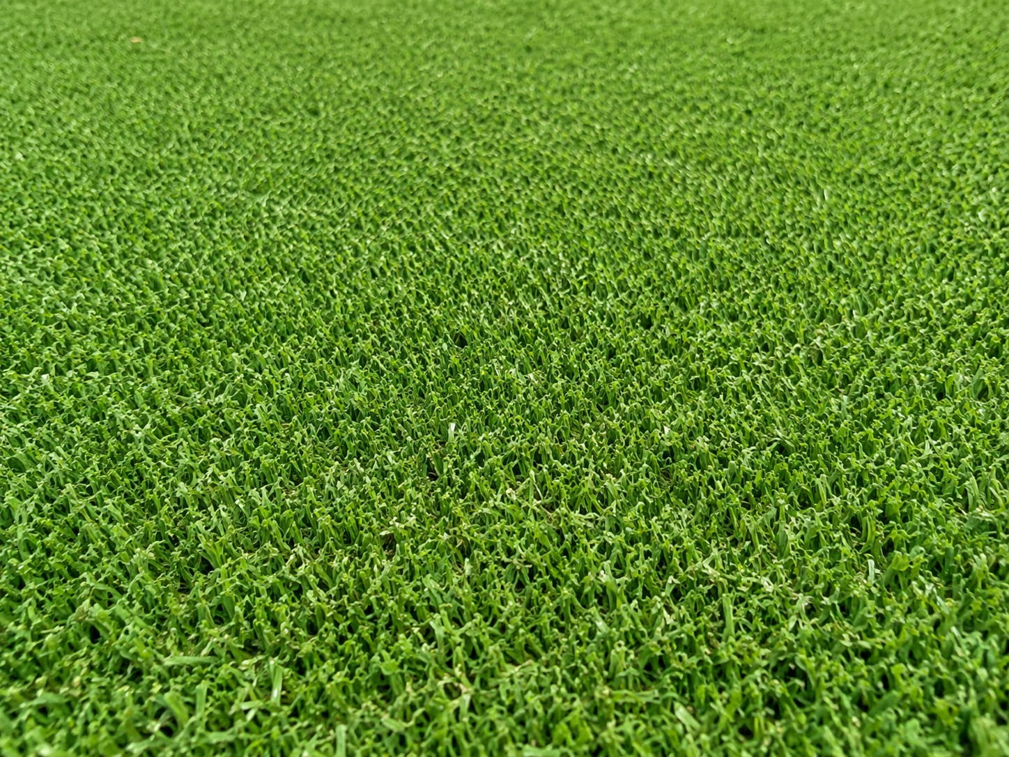 Artificial turf lawn
