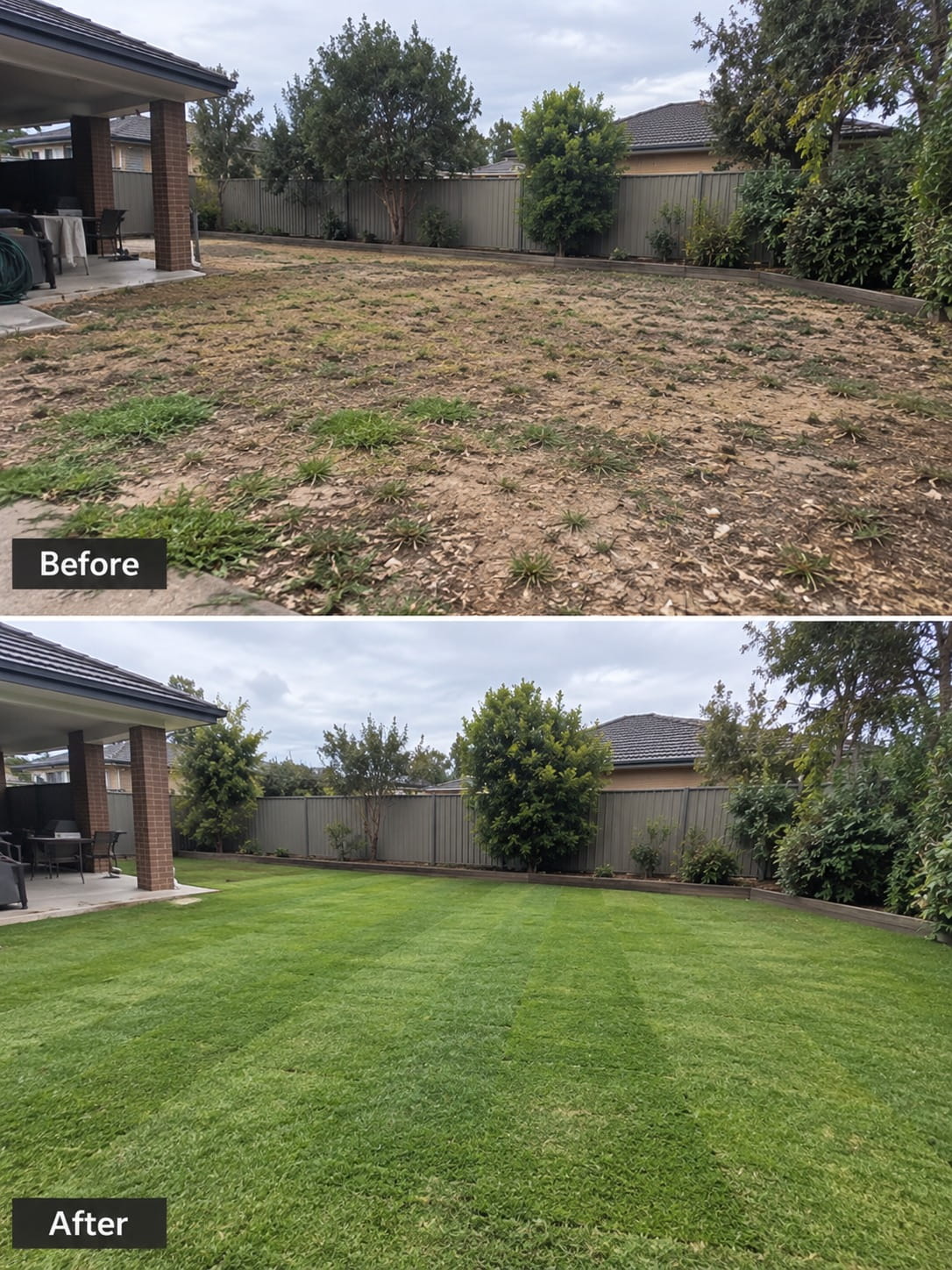 Renovated lawn in a Perth backyard