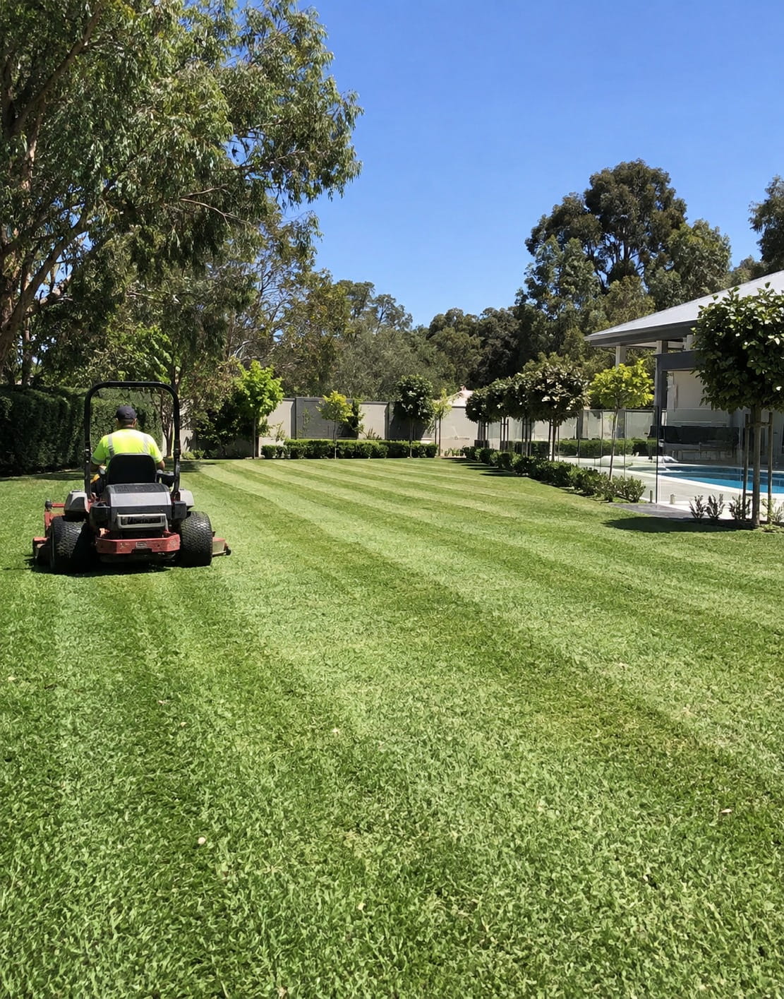 Closely mown sports turf in Perth